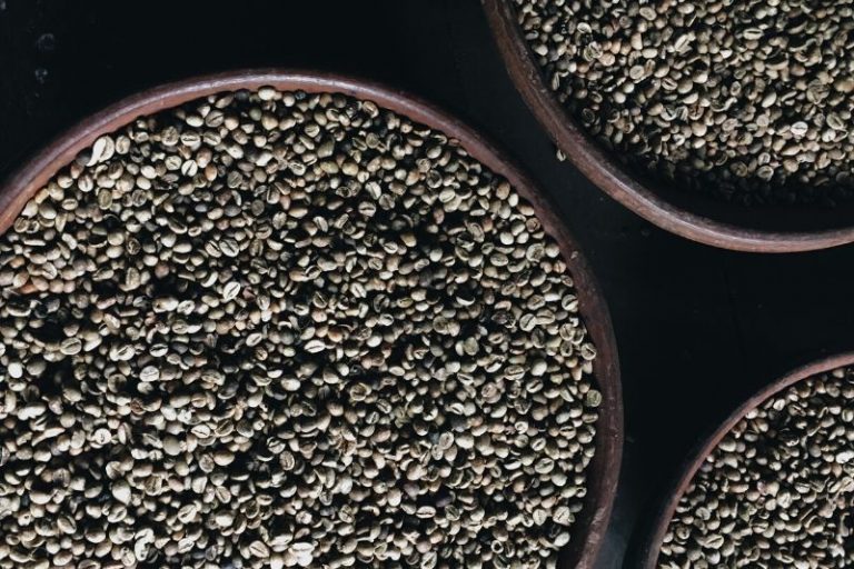 Arabica és Robusta kávészem